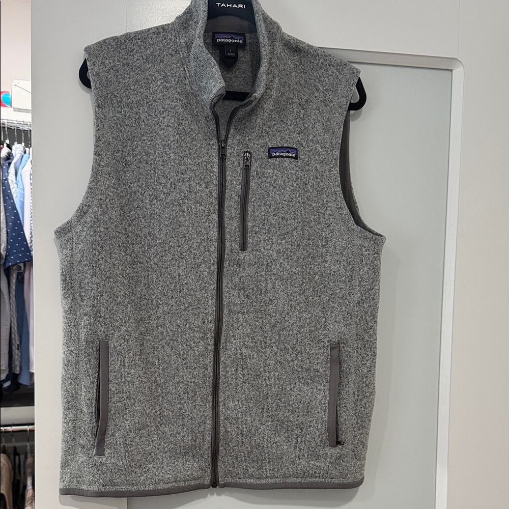 Patagonia Men's Heather Gray Vest